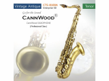 CannWood Saxophone_ _ Professional Class _ CTS_8100A _